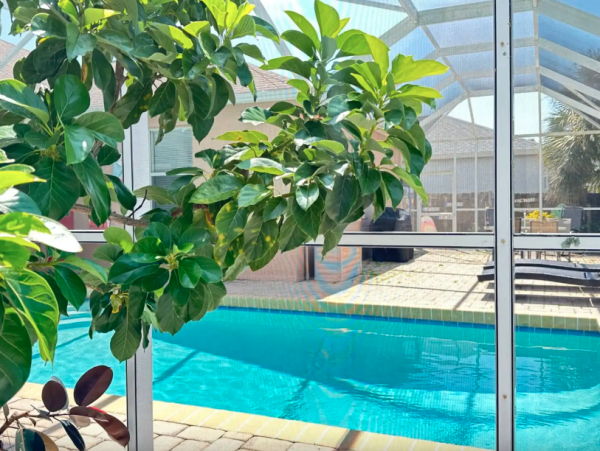 Sarasota Near Siesta Key Beaches Vacation Retreat- Family Friendly Getaway